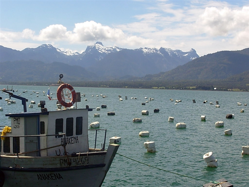 Provincia de Llanquihue