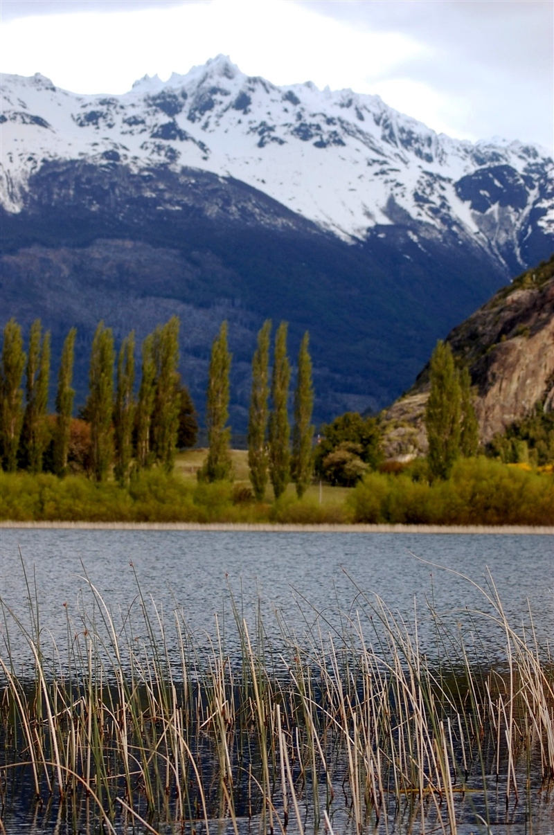 Provincia de Palena