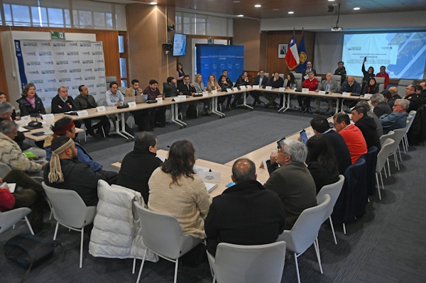 Gobernador Alejandro Santana preside primera sesión del Comité Regional del Uso del Borde Costero en Los Lagos