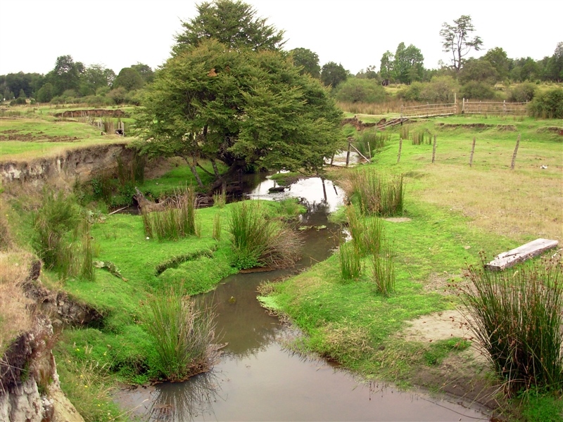 Provincia de Llanquihue